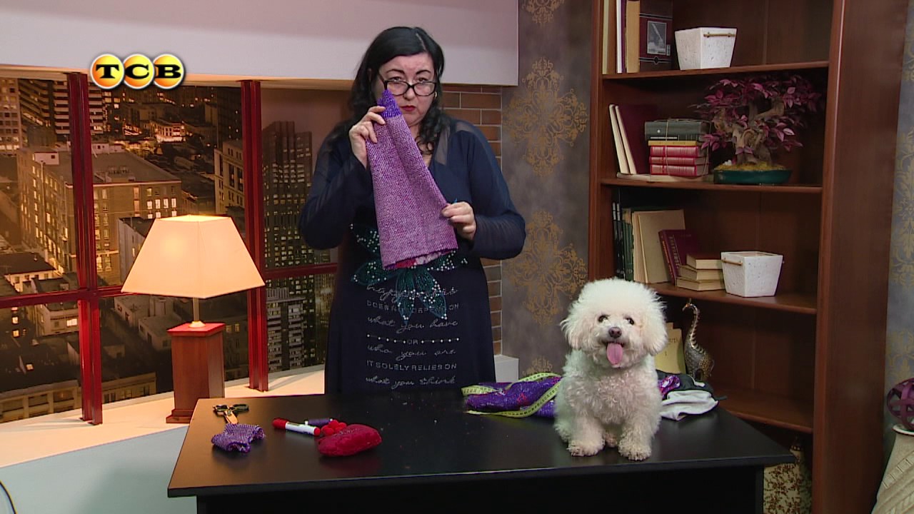 Как сшить из старого свитера одежду для собаки